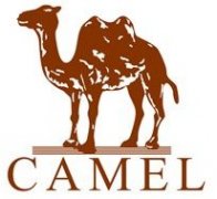 ＂云電商客服＂，CAMEL駱駝又玩創(chuàng)新